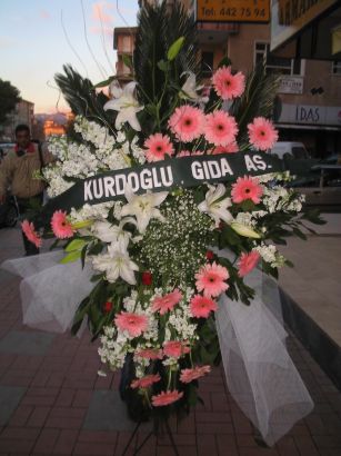 kazablanka,gerbera,sebboy ferforje  Ankara Akyurt ieki maazas 