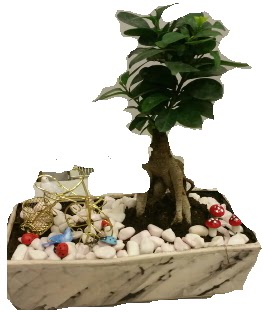 Japon aac bonsai sat  Ankara Akyurt anneler gn iek yolla 