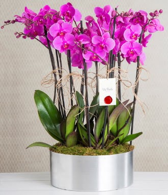 11 dall mor orkide metal vazoda  Ankara Akyurt iek gnderme sitemiz gvenlidir 