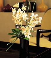  Ankara Akyurt iekiler  cam yada mika vazo ierisinde dal orkide