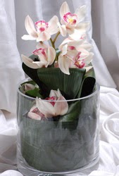  Ankara Akyurt internetten iek siparii  Cam yada mika vazo ierisinde tek dal orkide