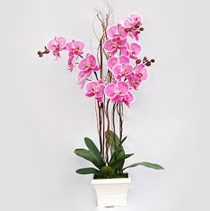  Ankara Akyurt cicekciler , cicek siparisi  2 adet orkide - 2 dal orkide