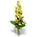  Ankara Akyurt hediye iek yolla  cam vazo ierisinde tek dal canli orkide