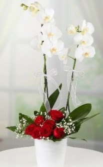 2 dall beyaz orkide 7 adet krmz gl  Ankara Akyurt 14 ubat sevgililer gn iek 