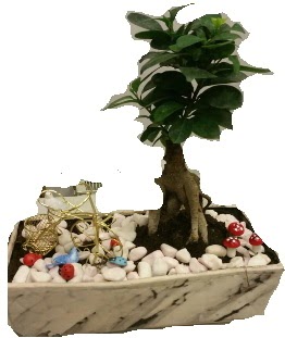 Japon aac bonsai sat  Ankara Akyurt anneler gn iek yolla 