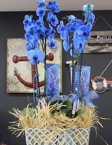 4 dall zel mavi orkide  Ankara Akyurt iek siparii vermek 