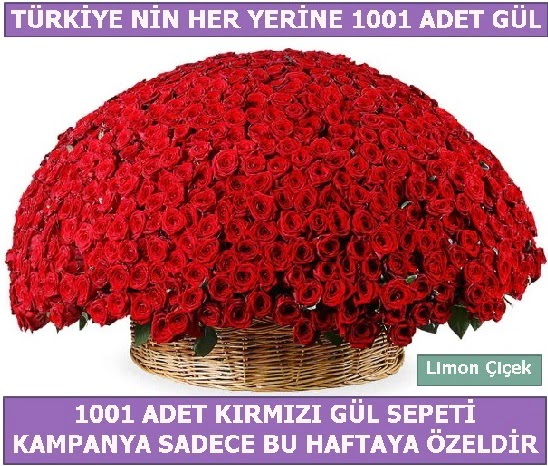 1001 Adet krmz gl Bu haftaya zel  Ankara Akyurt hediye iek yolla 