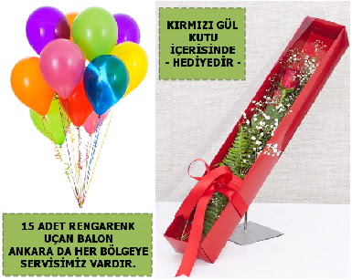 15 Adet uan balon ve kutuda krmz gl  Ankara Akyurt iek , ieki , iekilik 