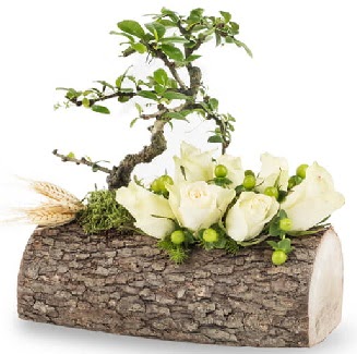 Doal ktkte bonsai aac ve 7 beyaz gl  Ankara Akyurt iek gnderme sitemiz gvenlidir 